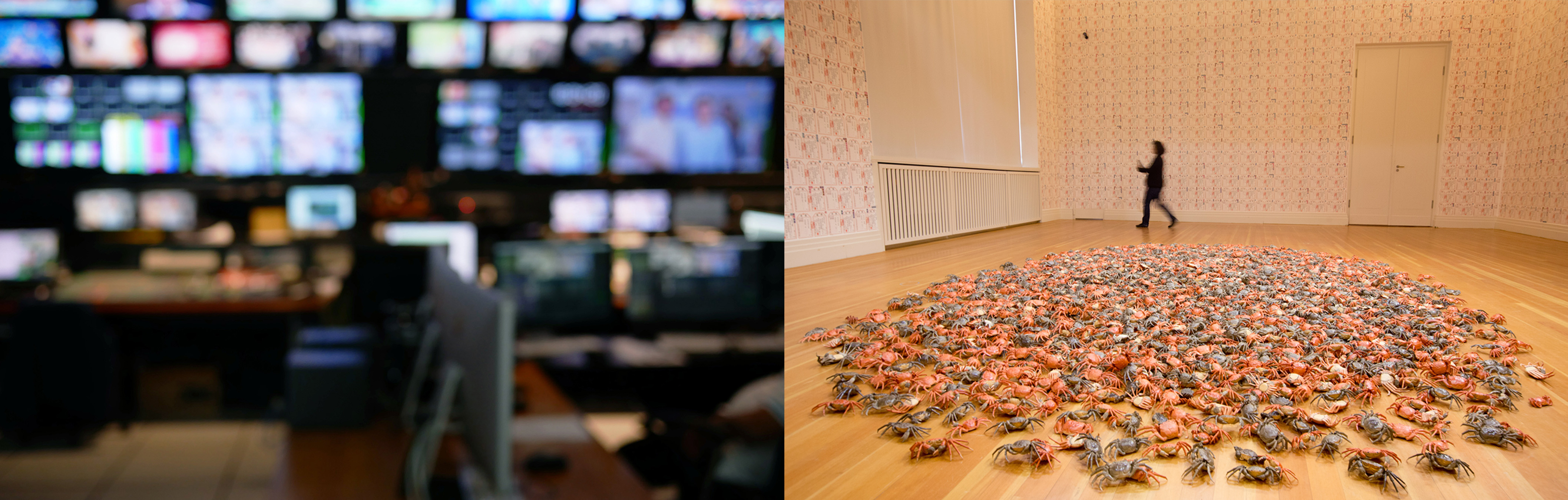 4 Free Speech and Freedom of the Press vs. Social Harmony and Stability@1.5x