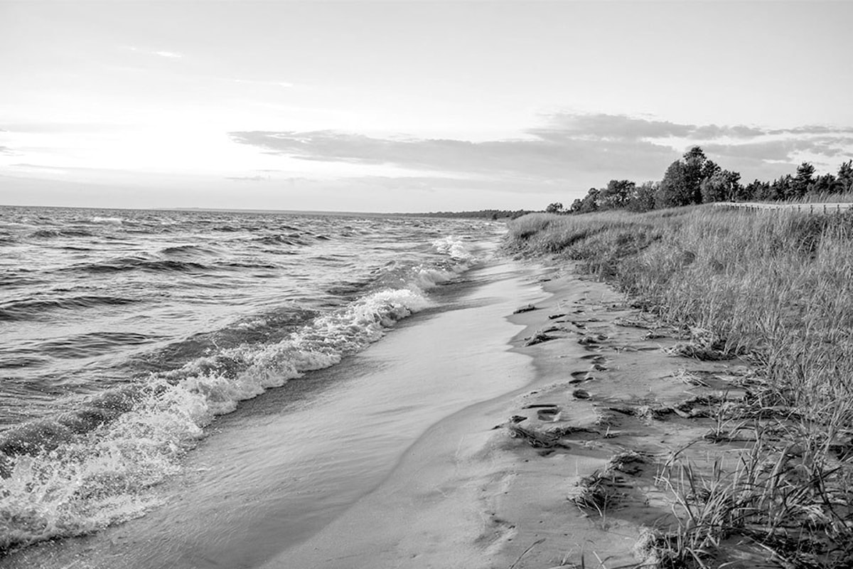 Oppscorecard Bluewall Mi
