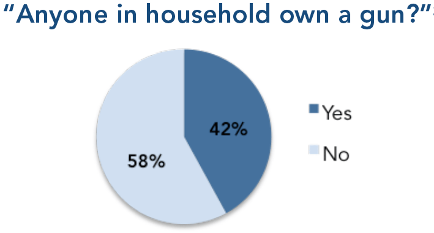 Anyone_in_household_own_a_gun
