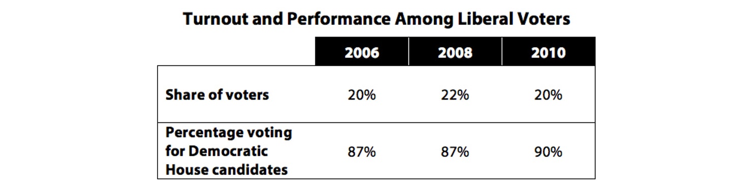 Turnout_and_Performance_Among_LIberal_Voters