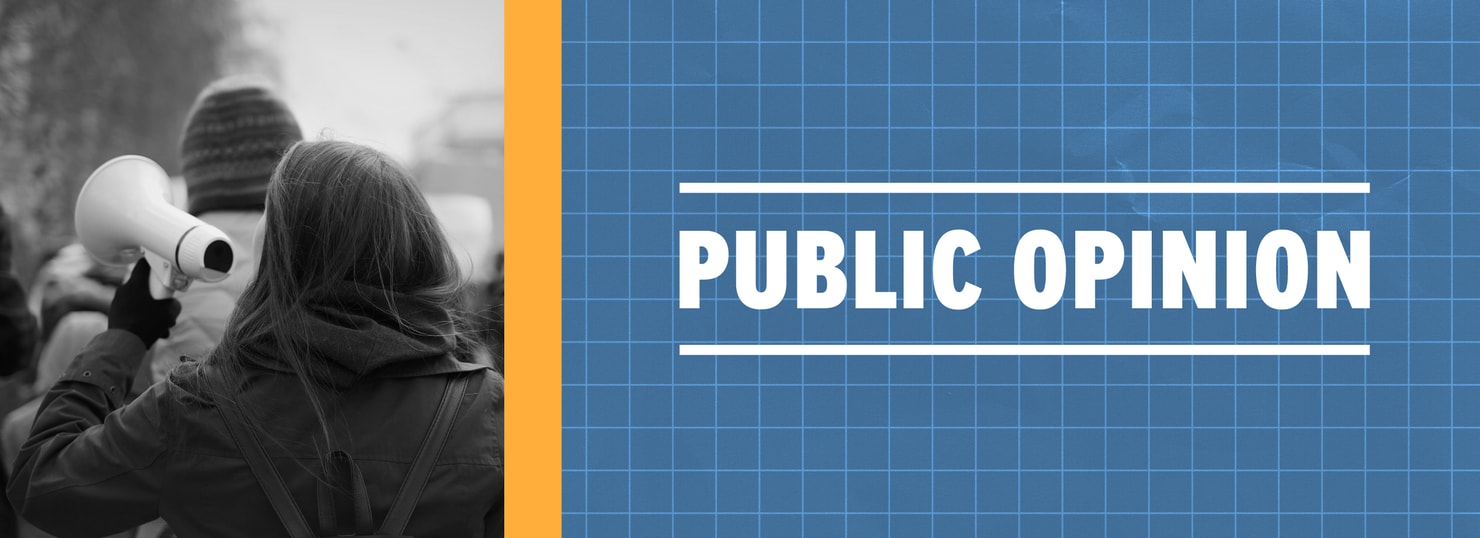 On the grid 2025 public opinion
