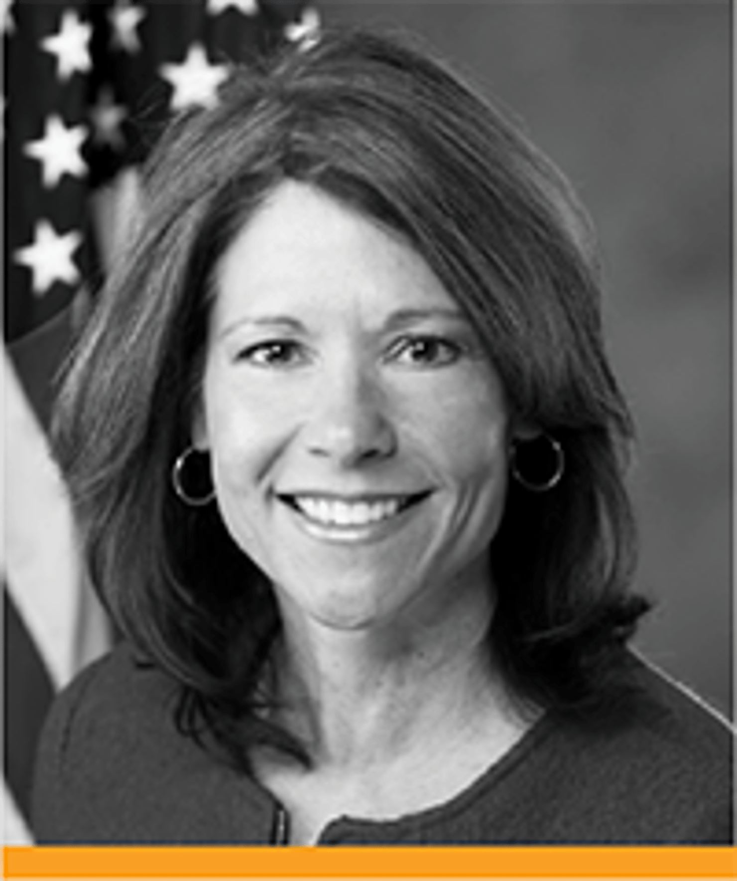 Cheri Bustos_small