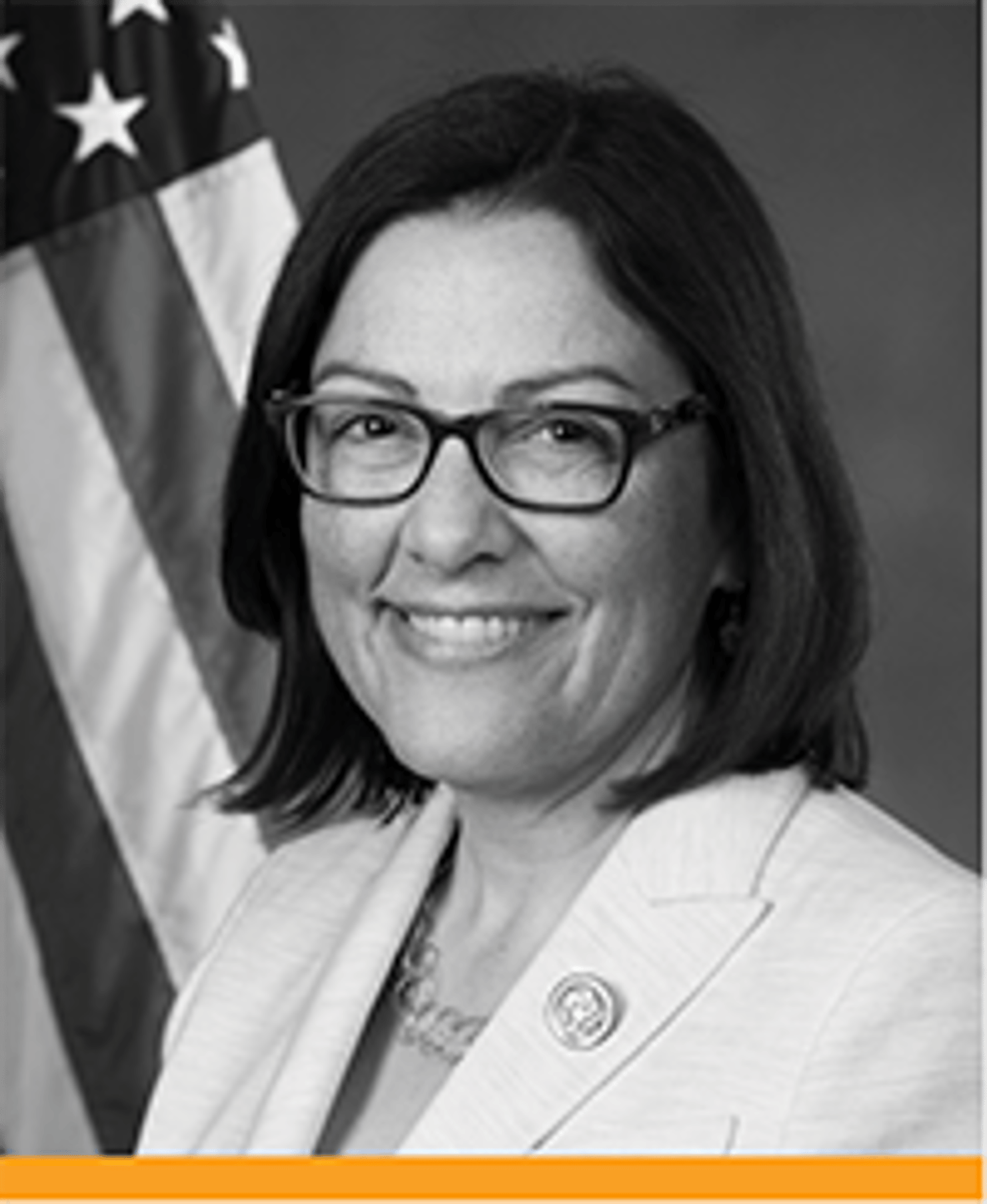 Suzan DelBene_small