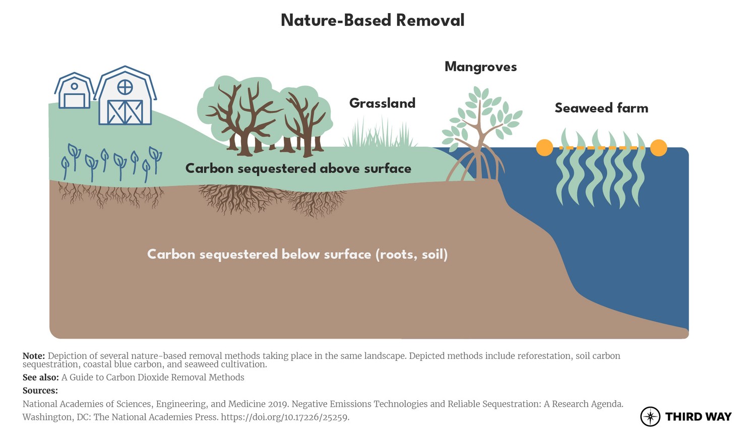 CDR-E_nature based removal