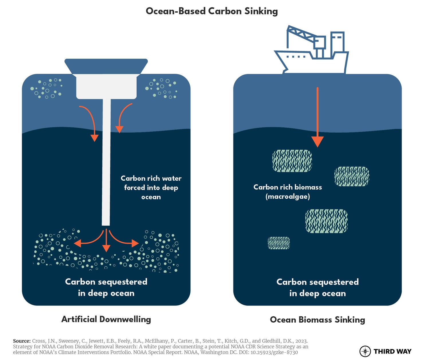 CDR900_ocean based carbon sinking