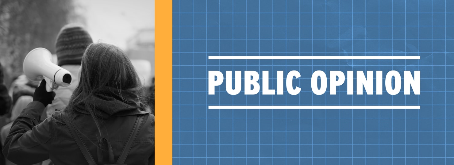 on the grid 2025_public opinion