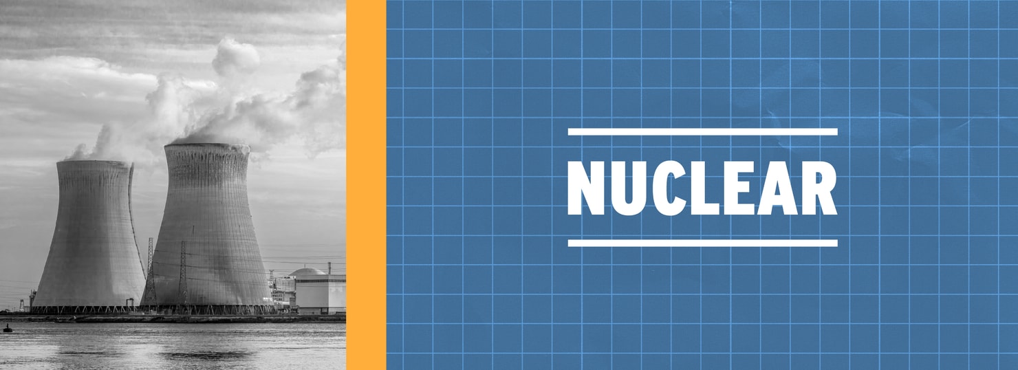 on the grid 2025_nuclear