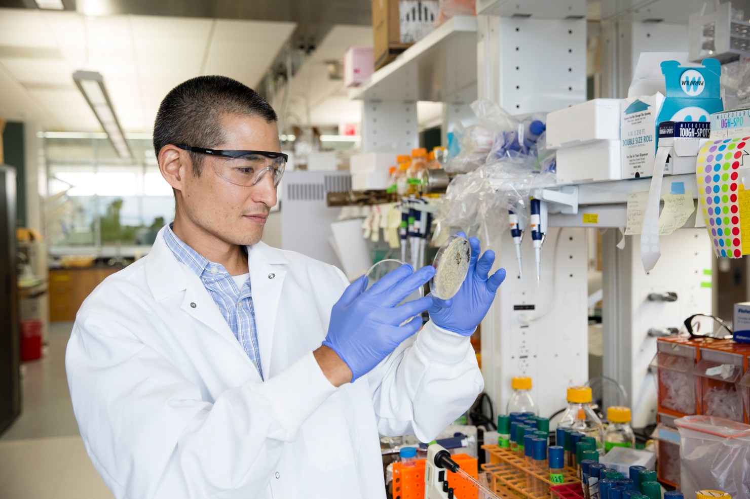 Great Lakes Bioenergy Research Center - Image 1