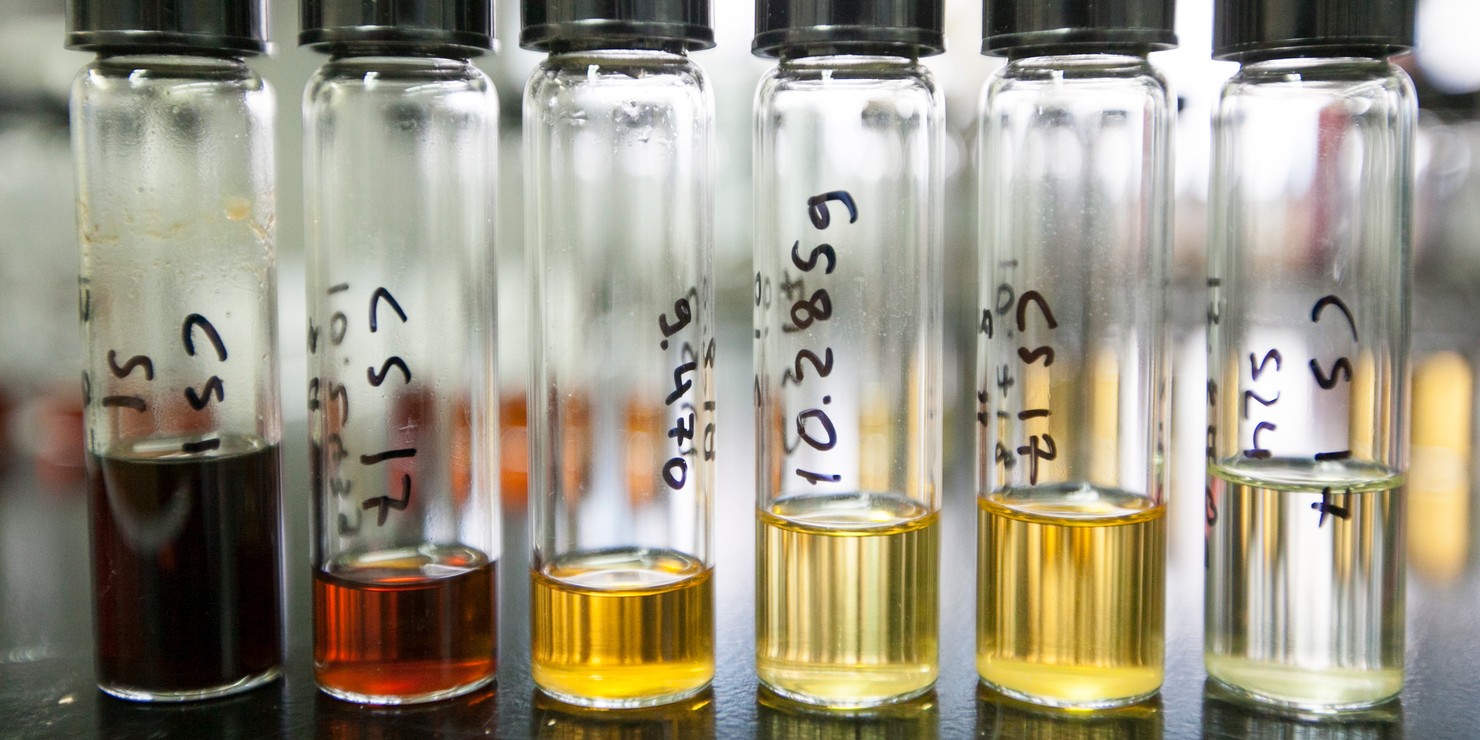 Great Lakes Bioenergy Research Center - Image 2