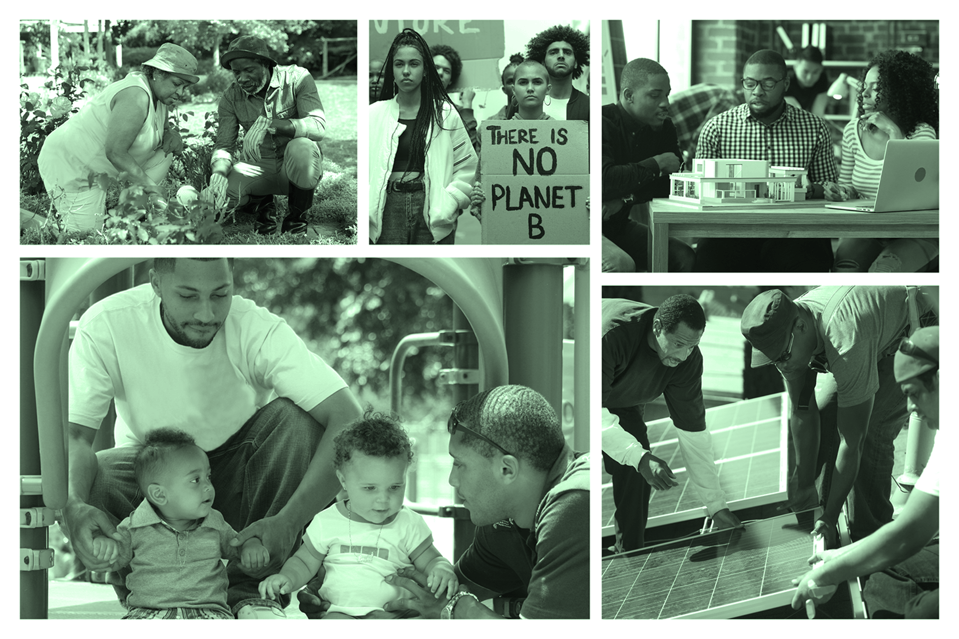 Af Am Polling Green small