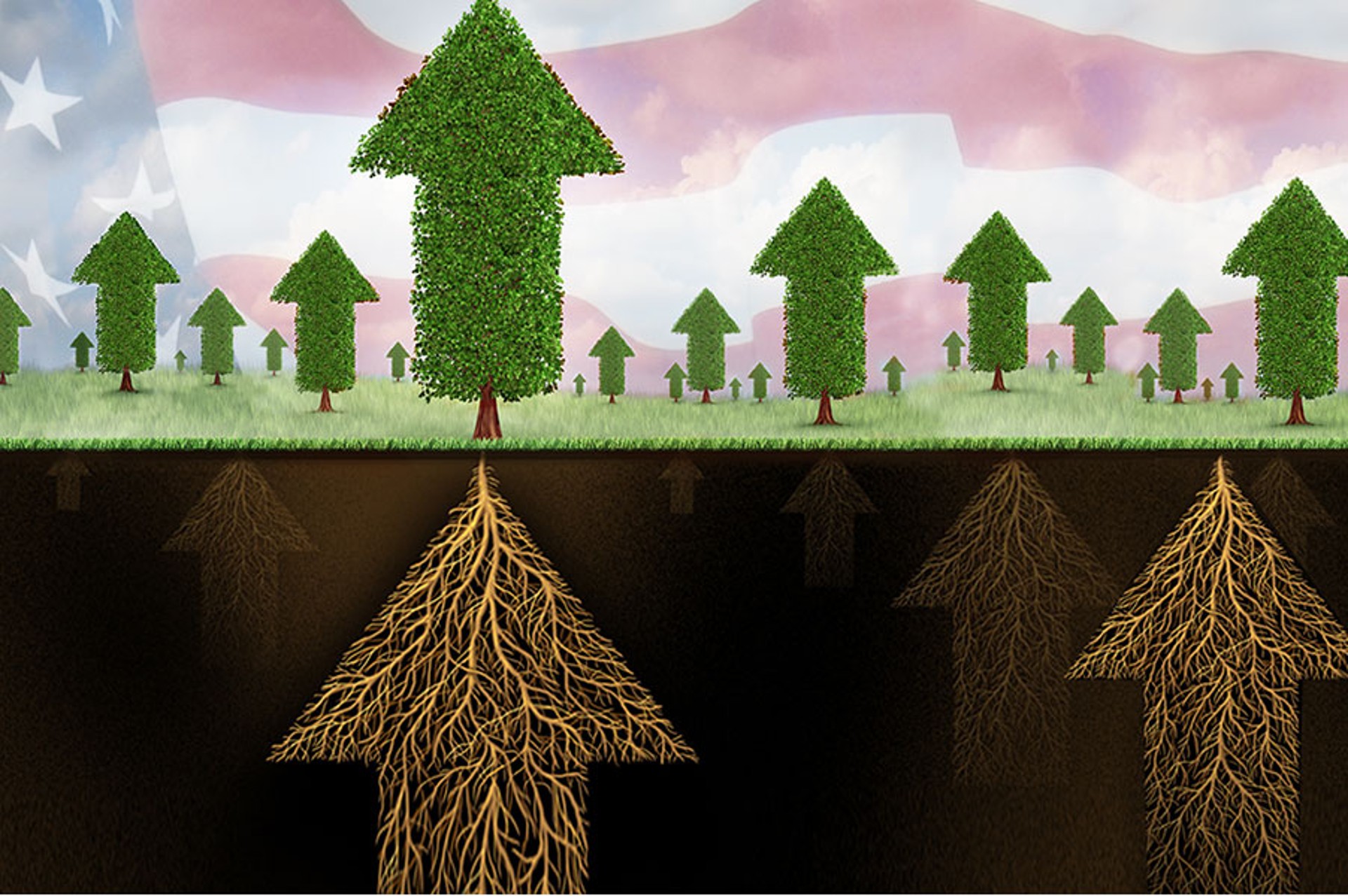 Doddfrank Webfeature