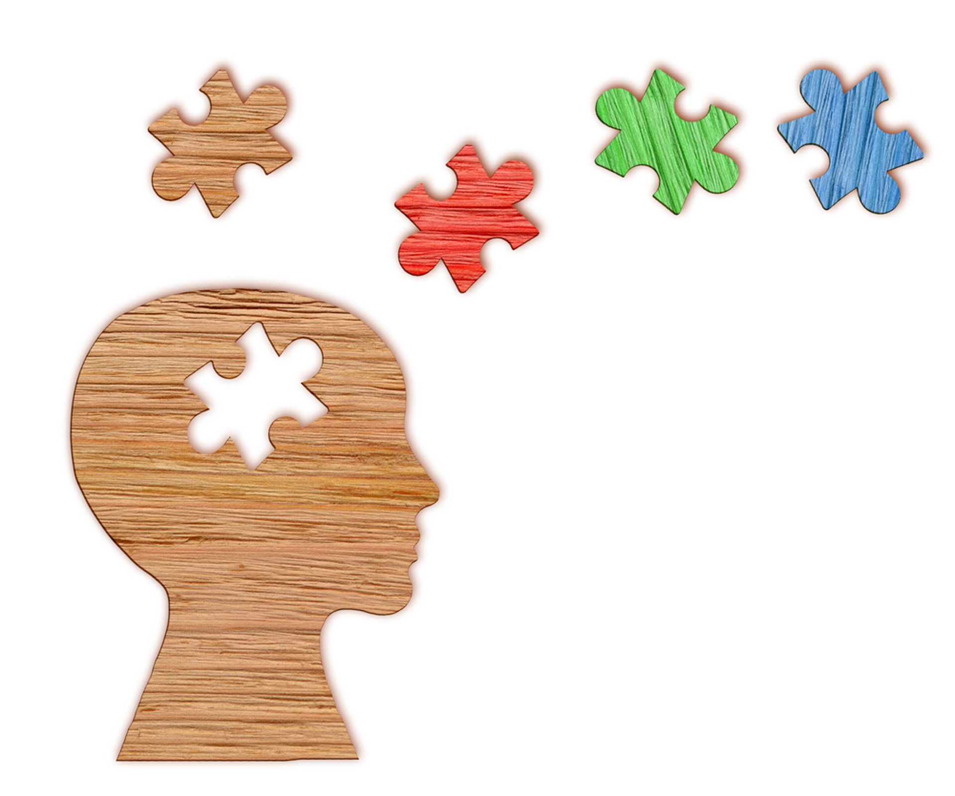 Hc Mental Health Head Puzzle