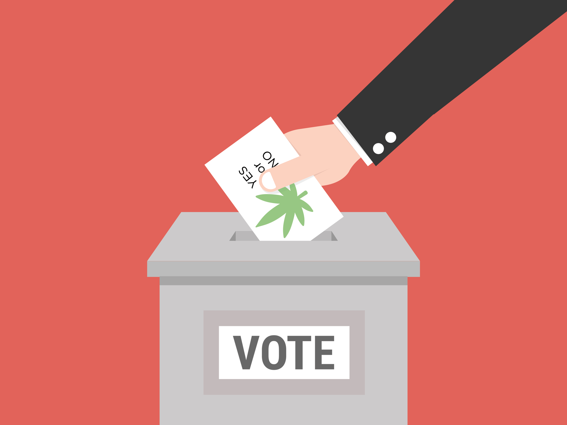 Mj Ballot Web Feature