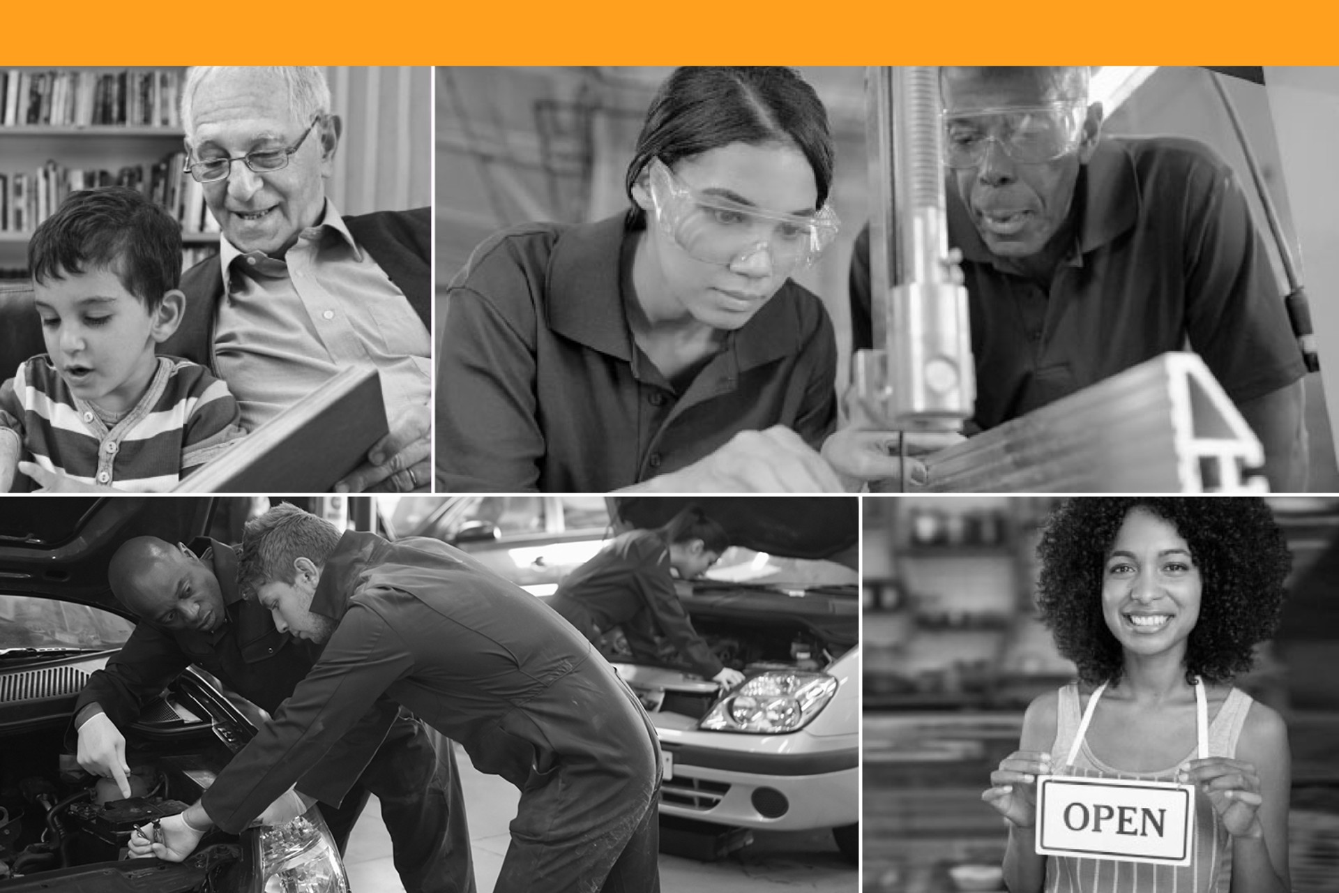 Opportunity Democrat B