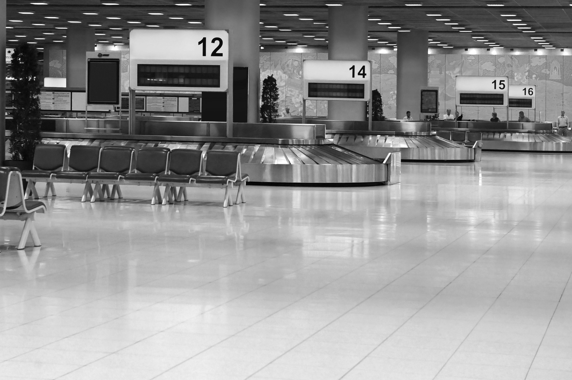 Trump Visitor Ban Web Feature