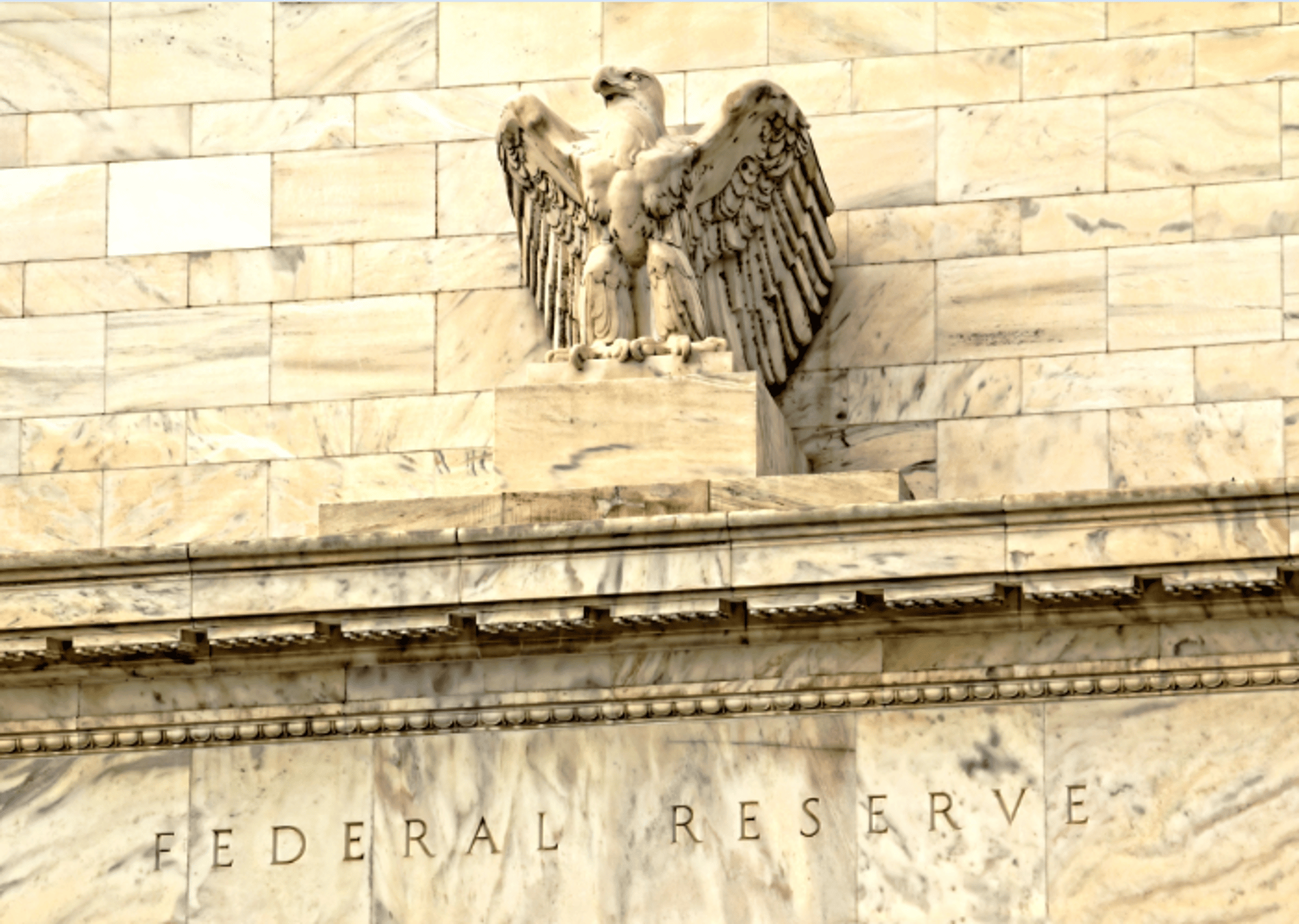 Fed Reserve