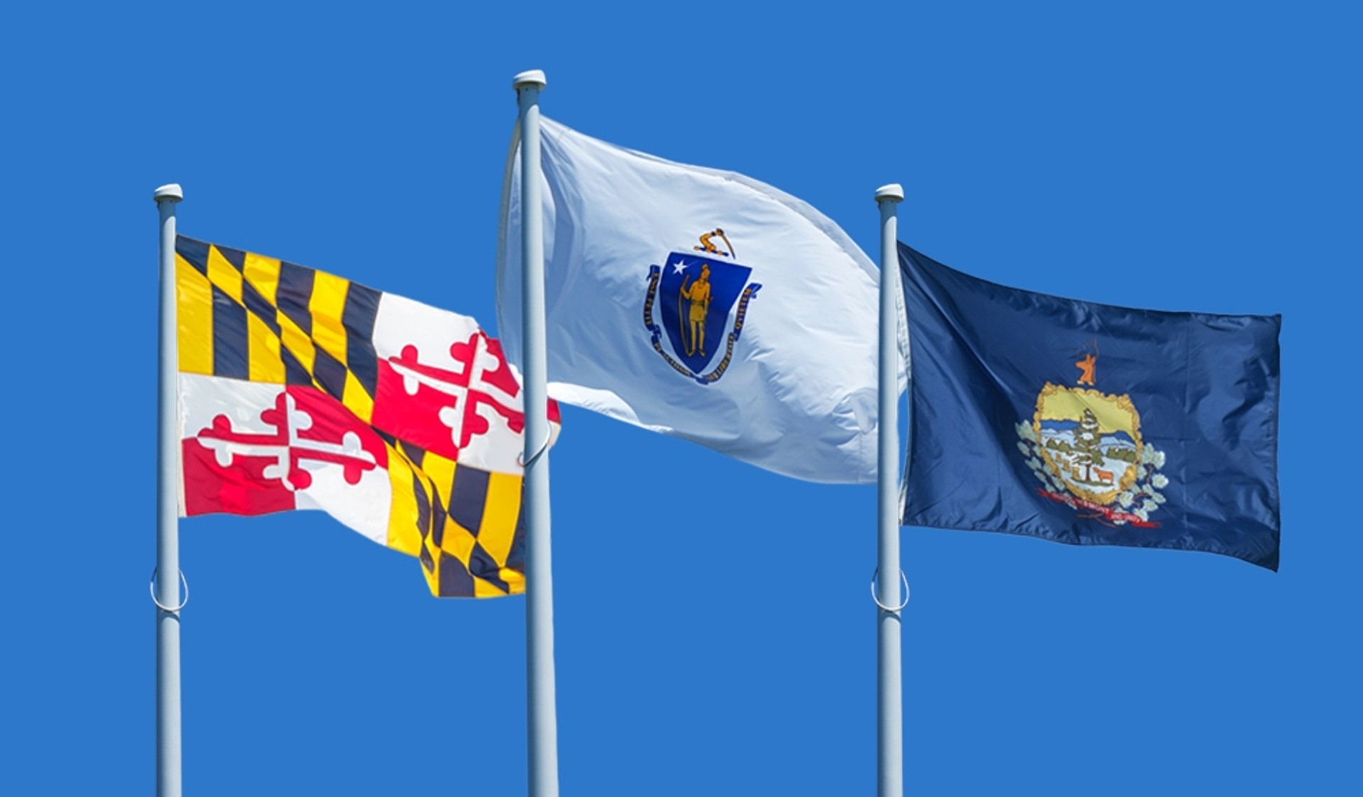 Flags Header2