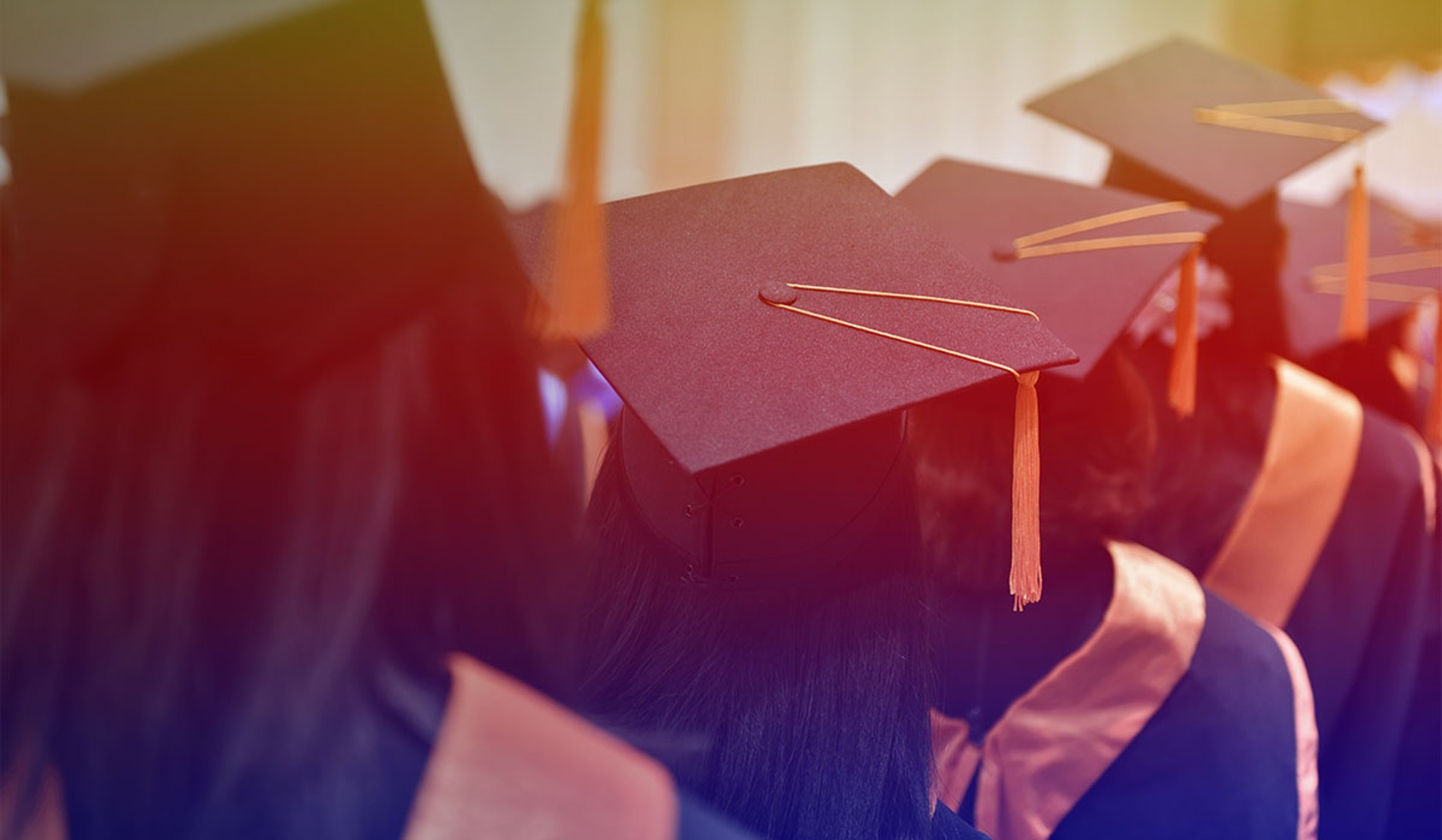 Gainful Employment Web Feature