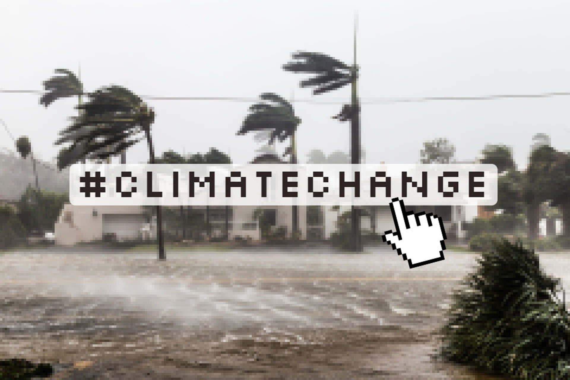 Header Digital Divide On Climate 3