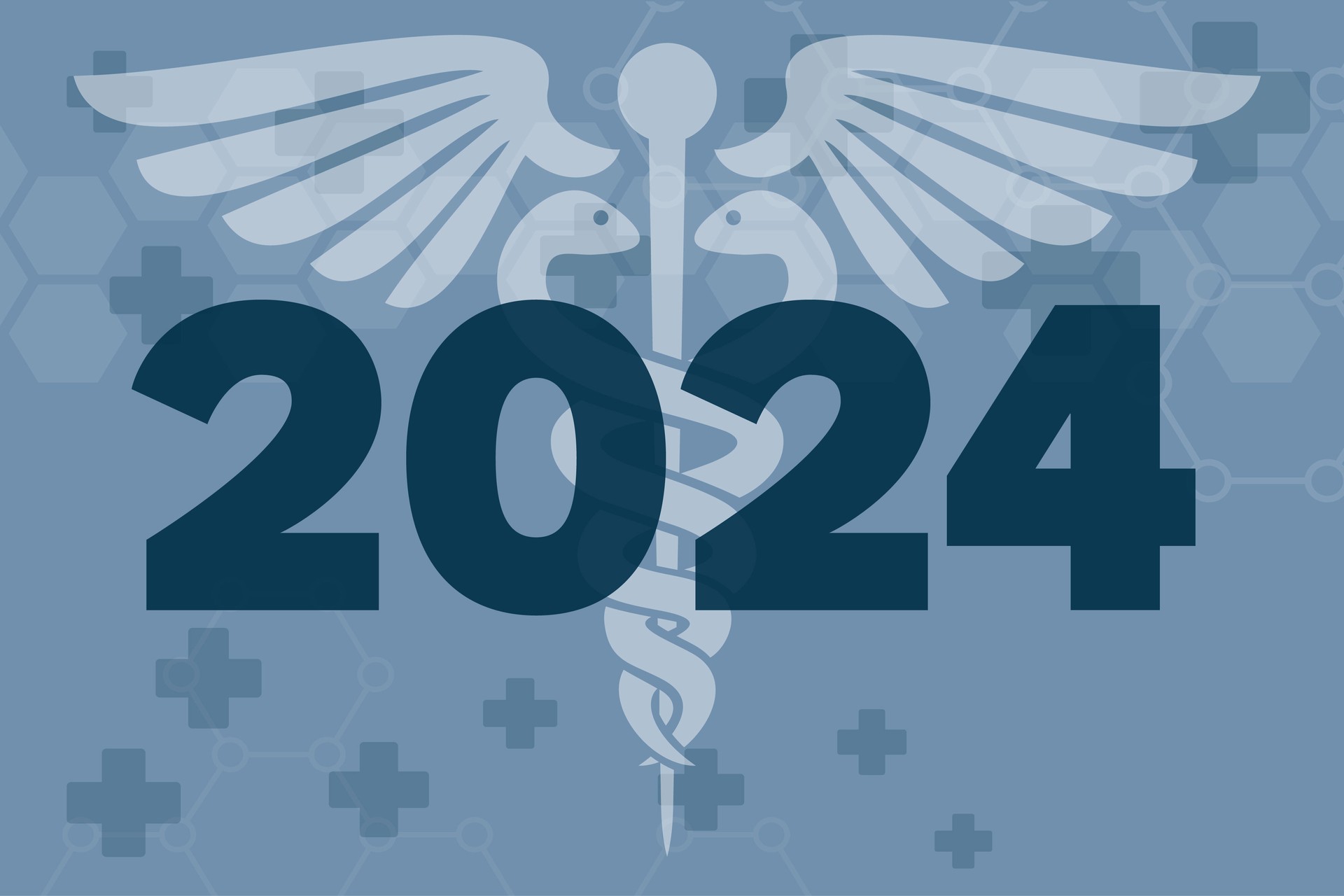 Header graphic 2024 hc