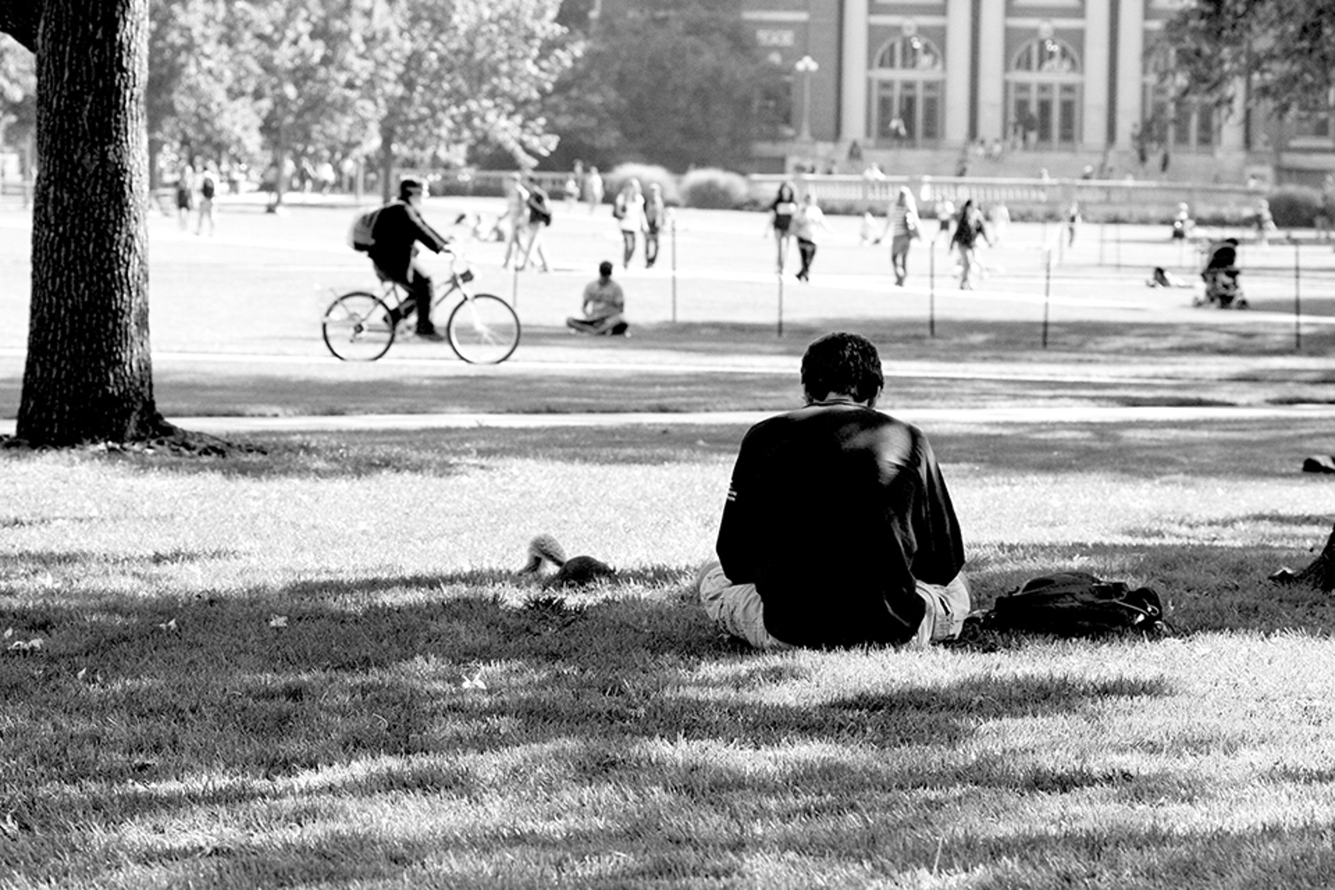 Header higher ed post covid