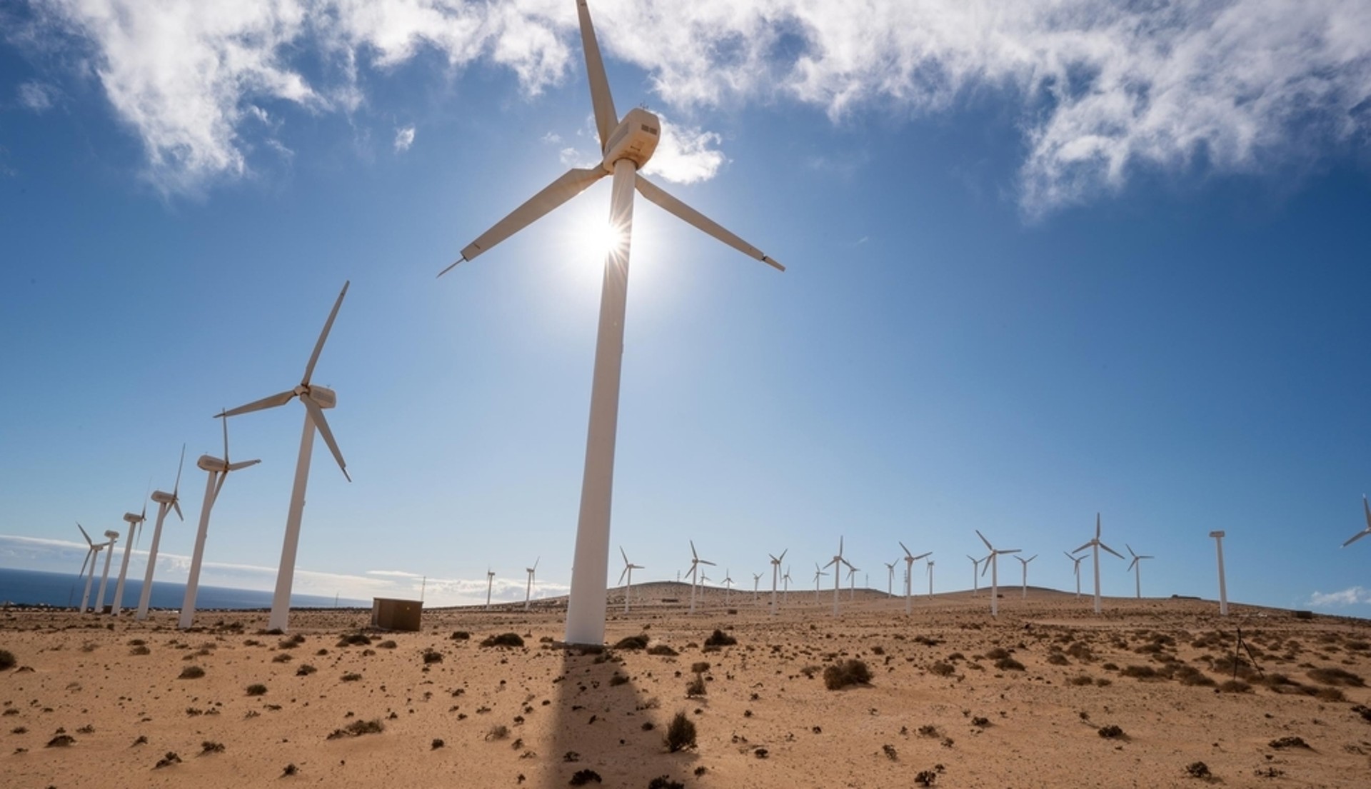 Shutterstock 2034699101