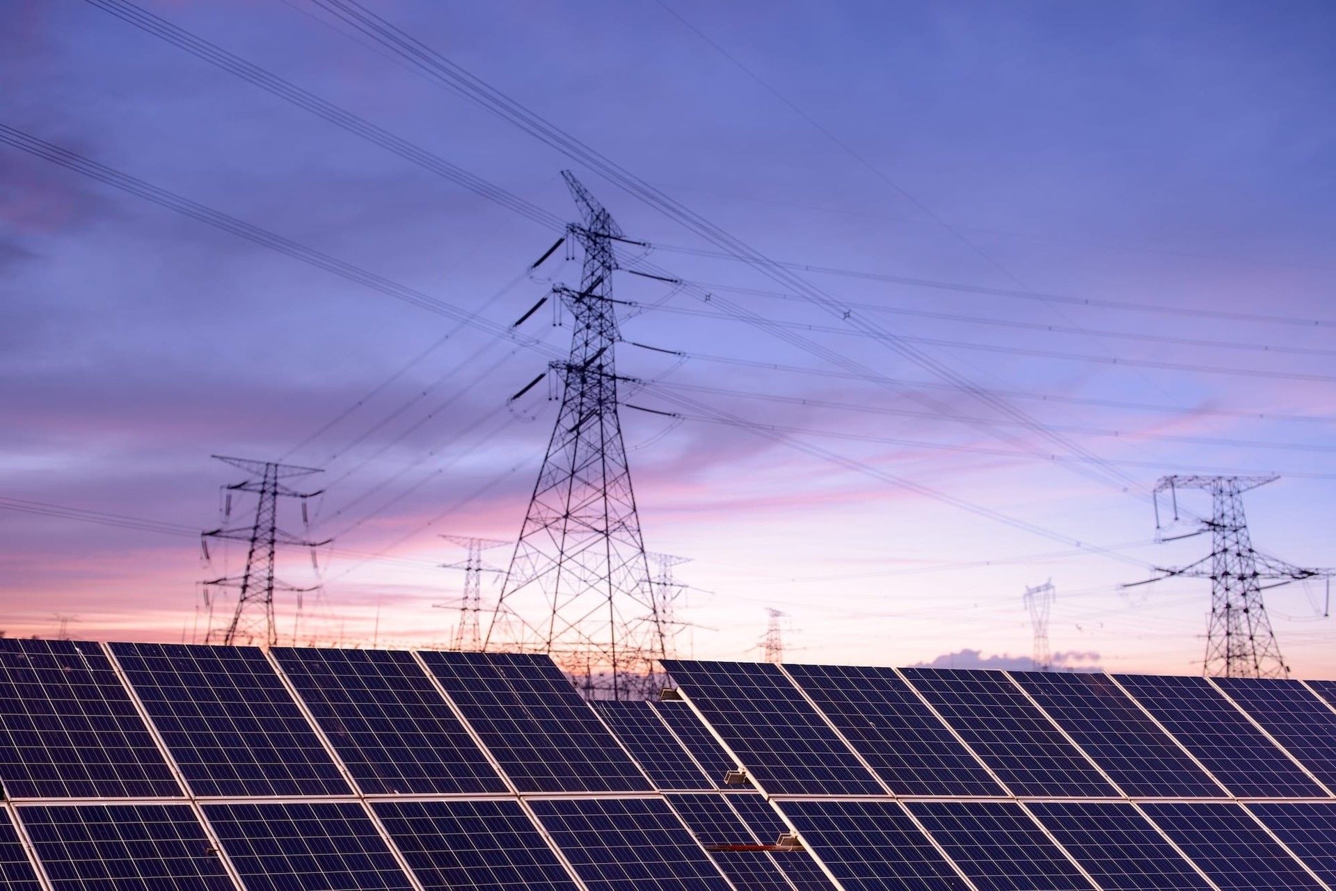 Shutterstock 2047175900