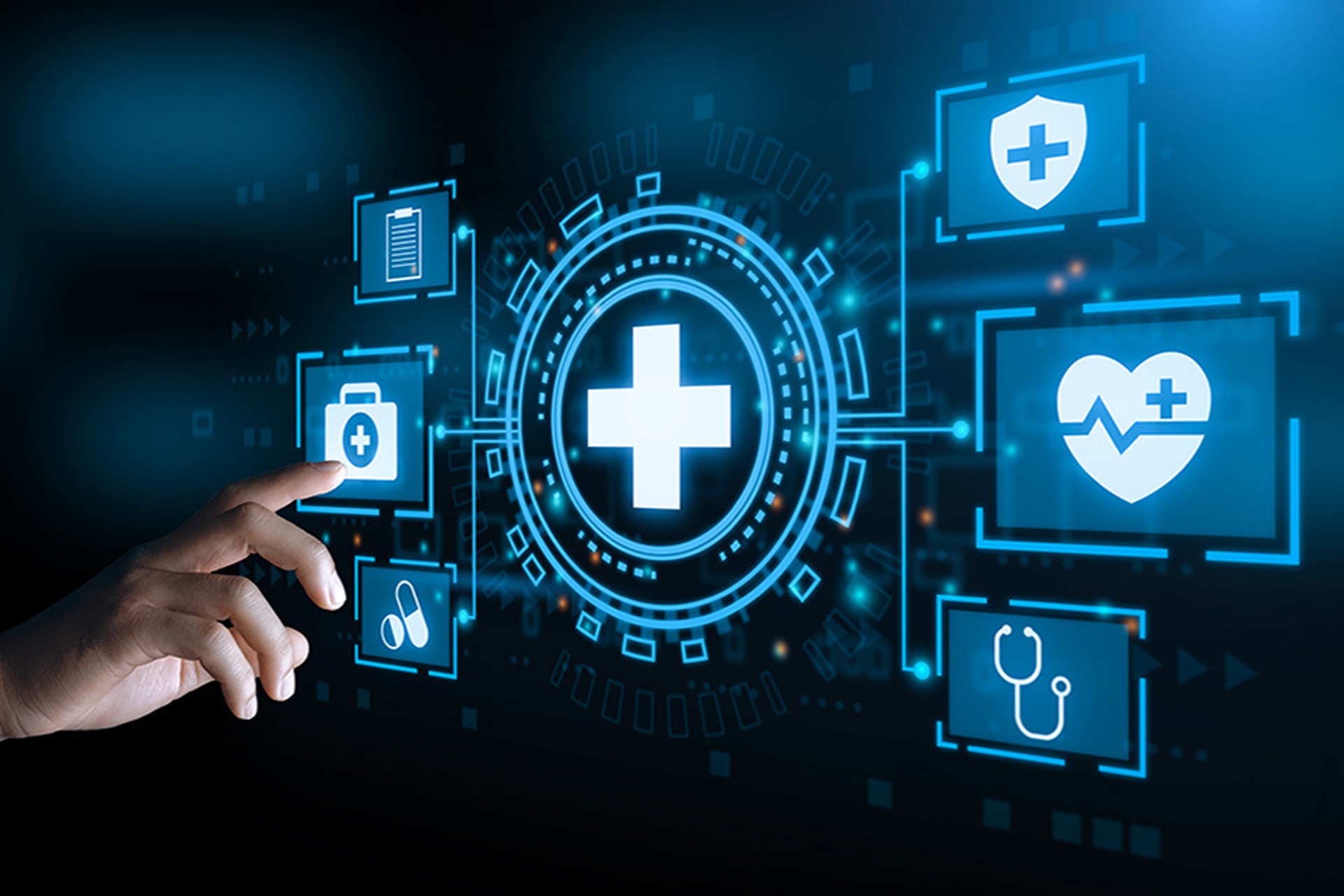 Shutterstock 2067855989