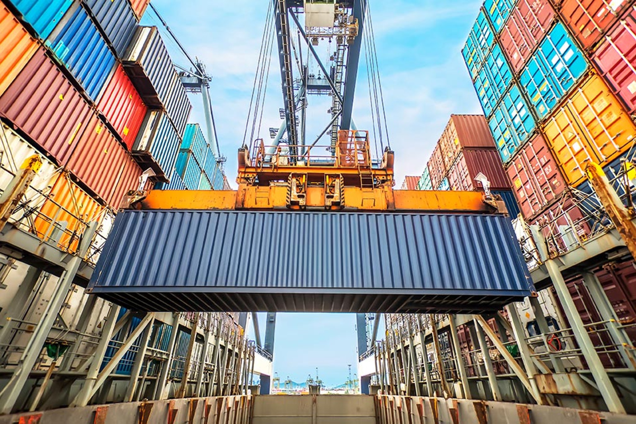 Trade Shipping Container Web