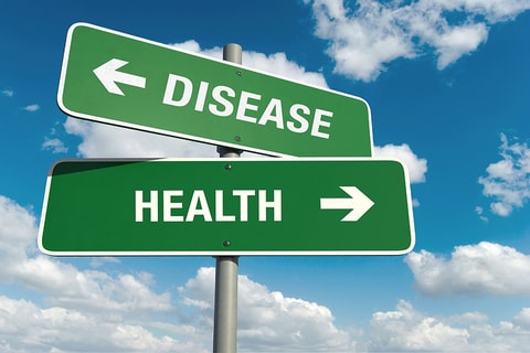 Shutterstock 207952564 960x640