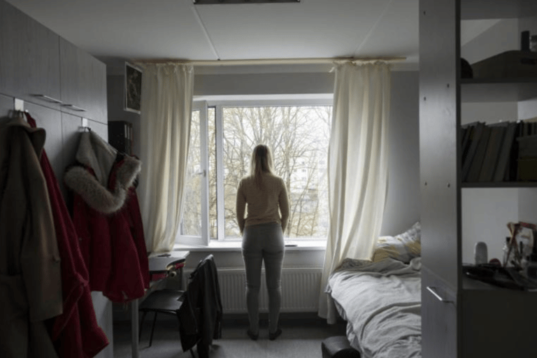 Screen Shot 2021 02 08 at 10 07 14 AM