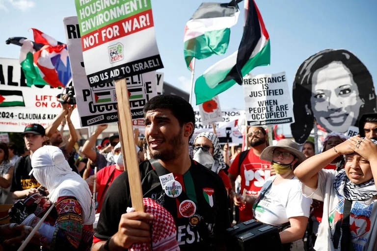 Dnc pro palestinian protests 1