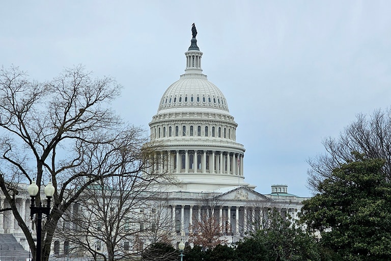 Shutterstock 2427980815