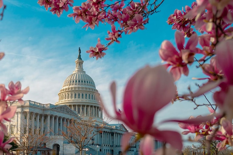 Shutterstock 2488747231