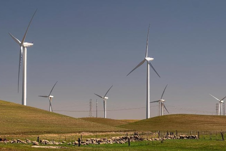 Wind turbines cnn decarb