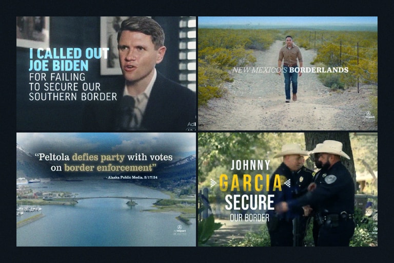 Battleground Immigration Ads