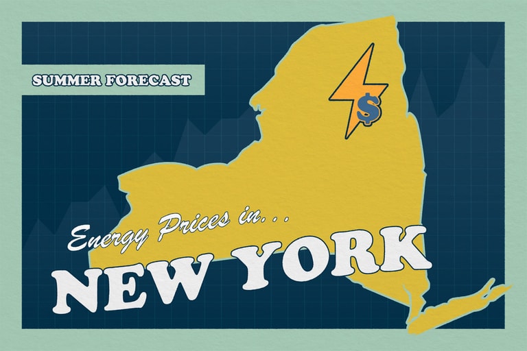 NY RECORD Summer T