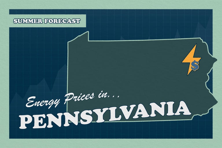 PA RECORD Summer T