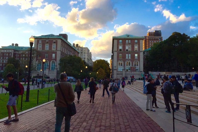 Poll Highered Header