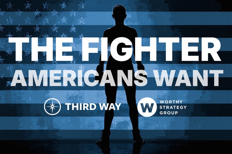 The Fighter Americans Want HG pdf 1 25x