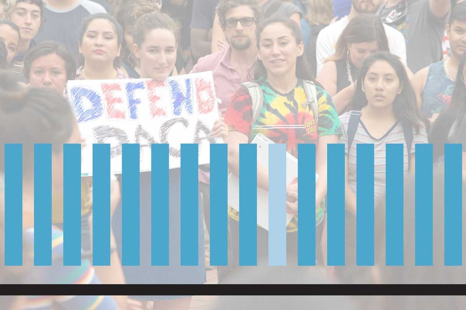 Daca Infographic Web Feature