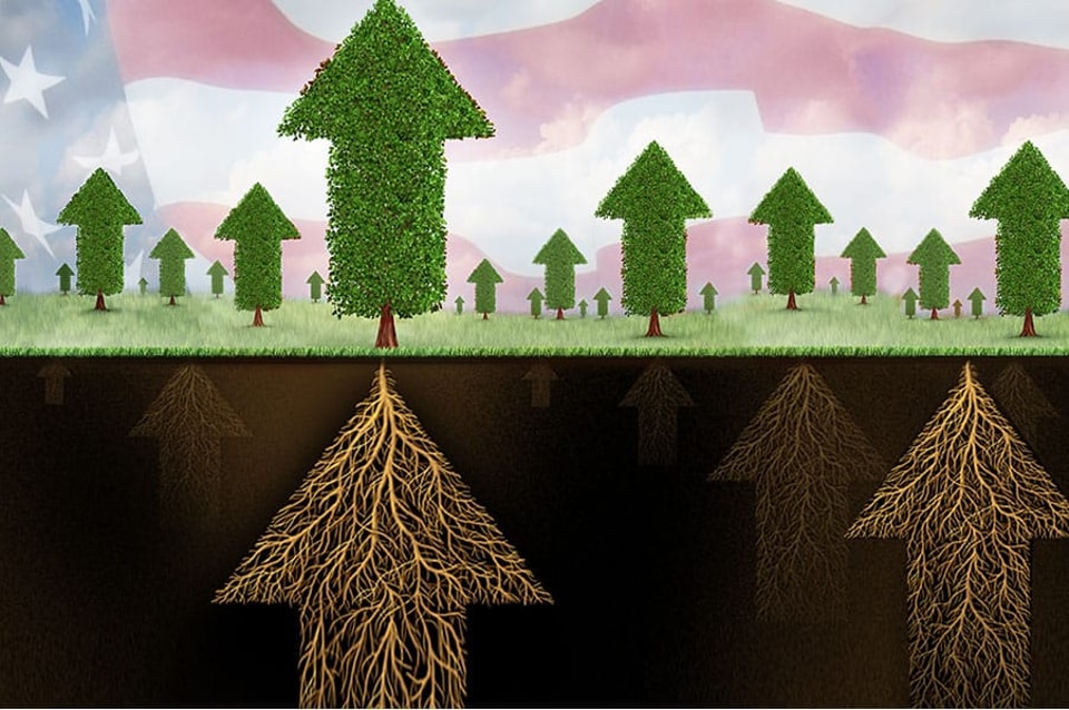 Doddfrank Webfeature