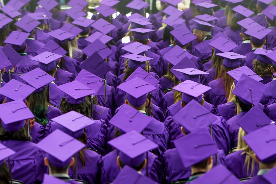 HG a sea of dreamers t20 ple N11