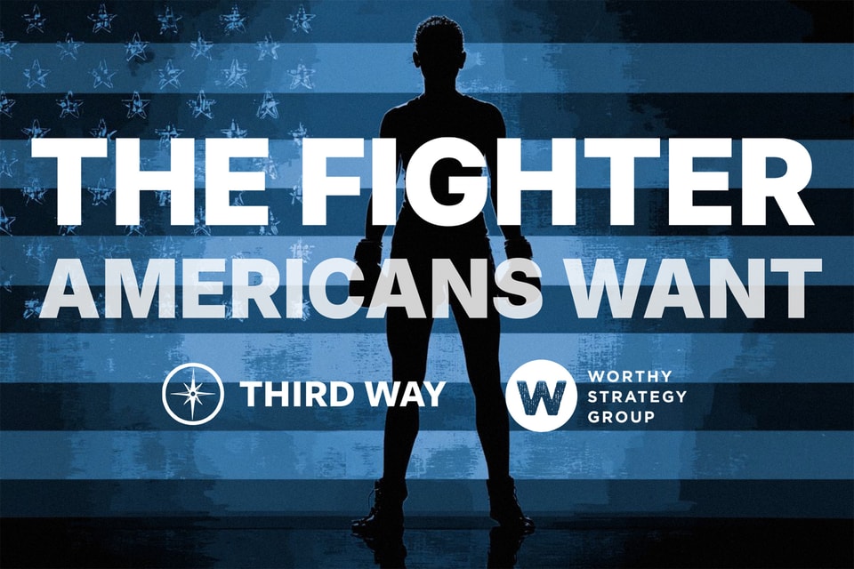 The Fighter Americans Want HG pdf 1 25x