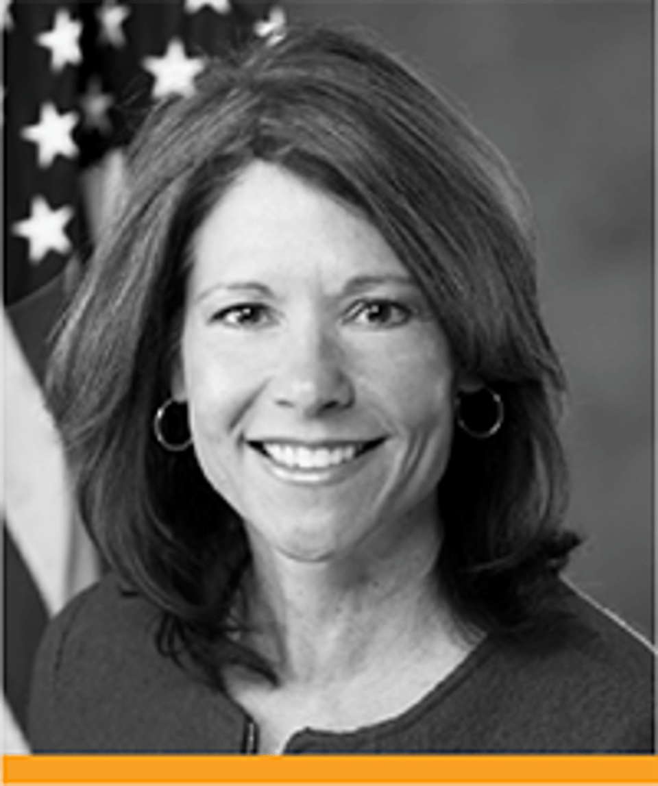 Cheri Bustos_small