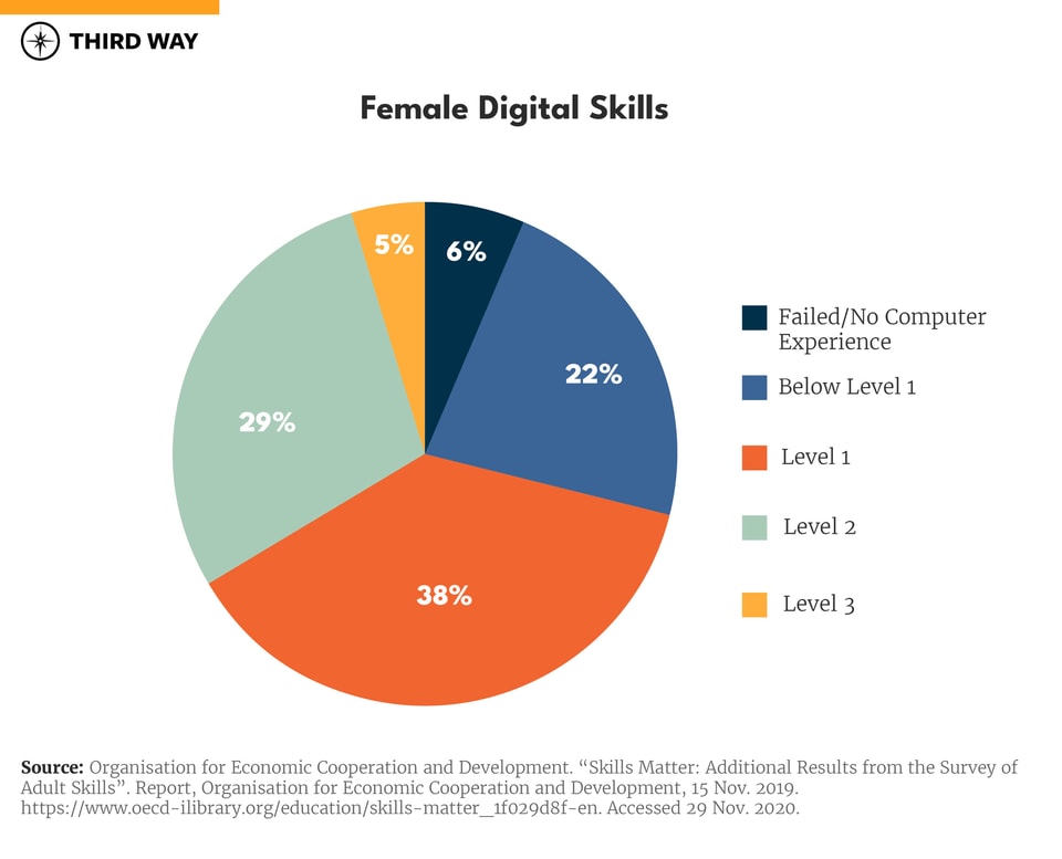 America’s Digital Skills Divide-v4_660px Verticle Bar Graph Minimalist-03