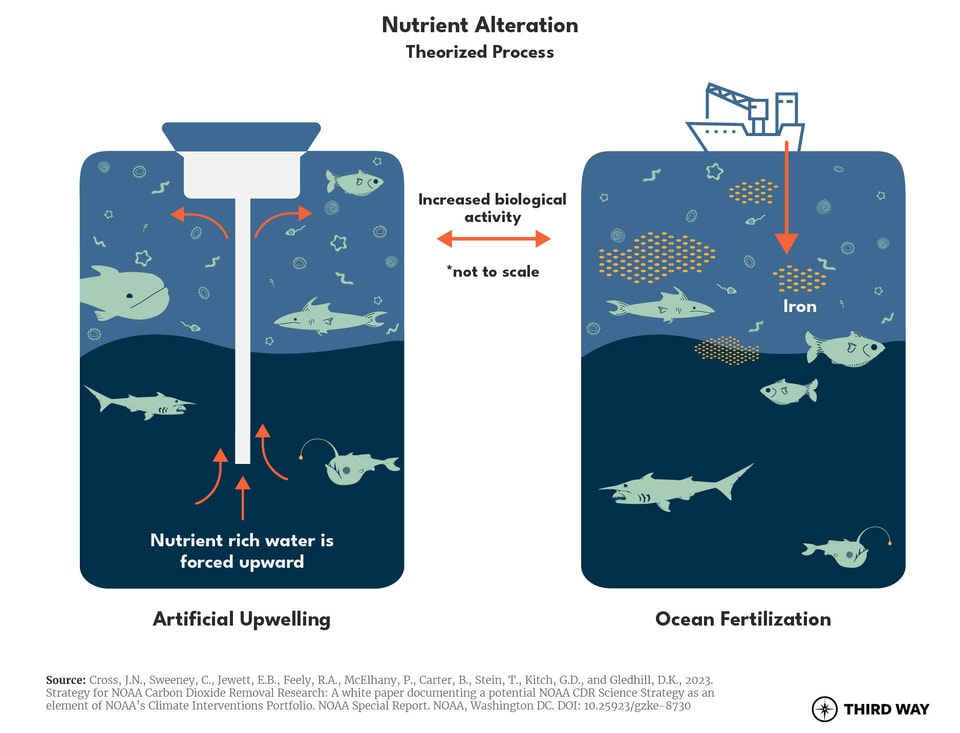 CDR900_nutrient_alteration