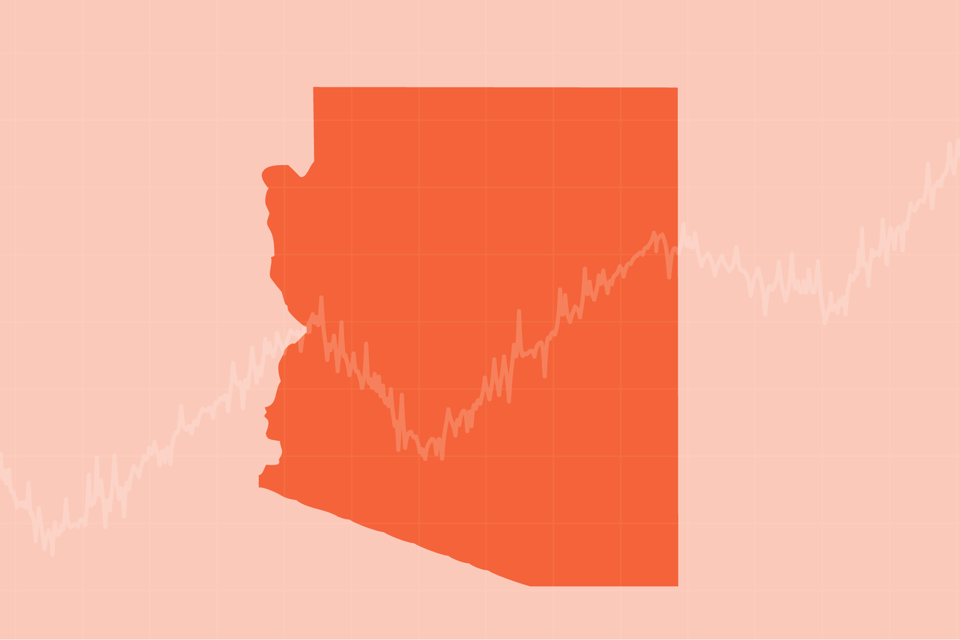 Header graphic arizona