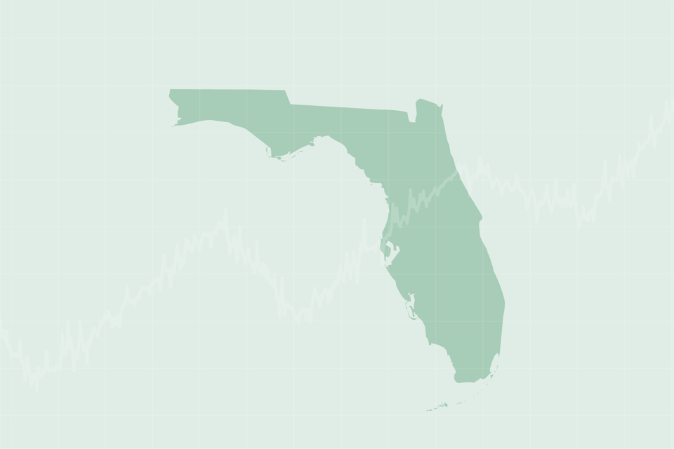 Header graphic florida