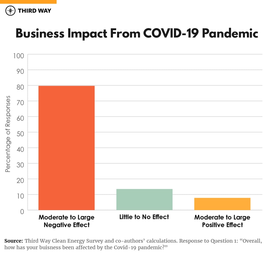 Clean Energy Business Survey Graphs-02